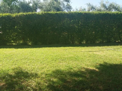 Amezrou - Photo 2
