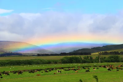 Huonville - Photo 2