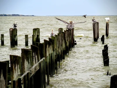Seabrook - Photo 3