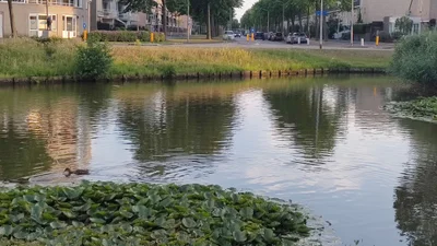 Amstelveen - Photo 5