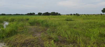 Abyei - Photo 4