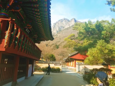 Jangseong-gun - Photo 5