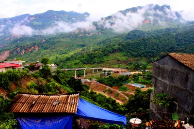 Xin Man - Photo 4