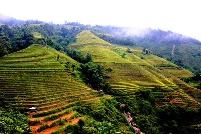 Xin Man - Photo 5
