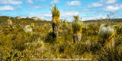 Waychinicup National Park - Photo 2