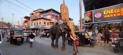 Thiruvilvamala - Photo 3