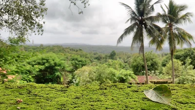 Thiruvilvamala - Photo 4