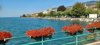 Vevey - Photo 5