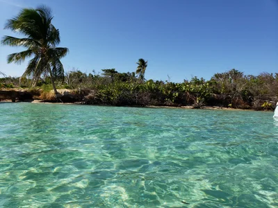 Fajardo - Photo 2