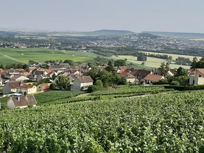 Marne - Photo 2