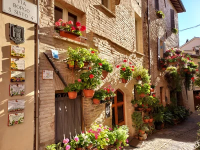 Spello - Photo 2