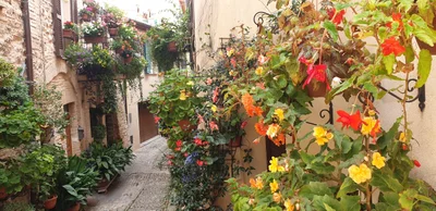 Spello - Photo 3