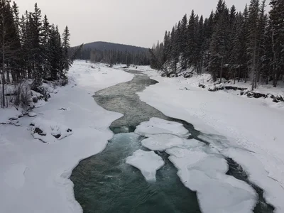 Bragg Creek - Photo 2
