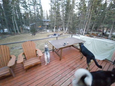 Bragg Creek - Photo 3
