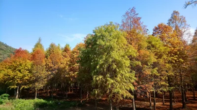 Tai'an - Photo 4