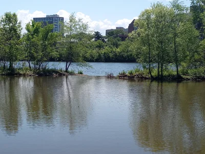 New Brunswick - Photo 4