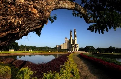 Guanare - Photo 5