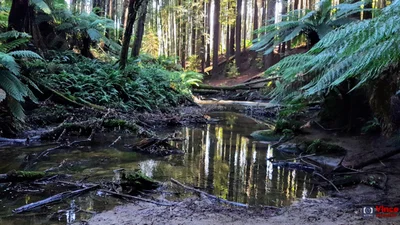 Glenaire - Photo 4