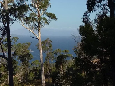 Geeveston - Photo 3