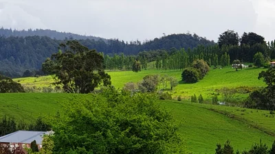 Geeveston - Photo 4