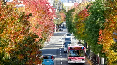 Neyagawa - Photo 5