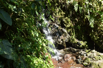 San Rafael - Photo 4