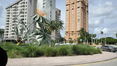 Coral Gables - Photo 5