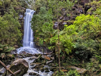 Great Otway National Park - Photo 2