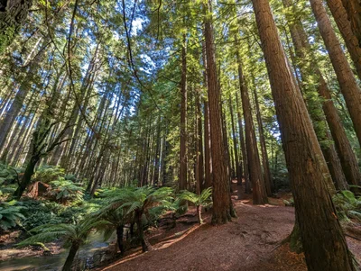 Great Otway National Park - Photo 3