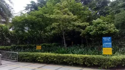 Xinzhou - Photo 3