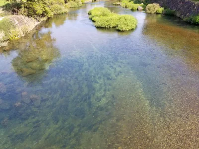 Chitose - Photo 2