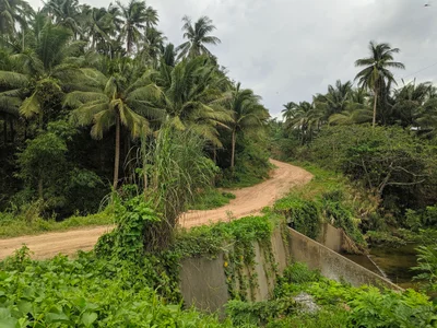 Matnog - Photo 2