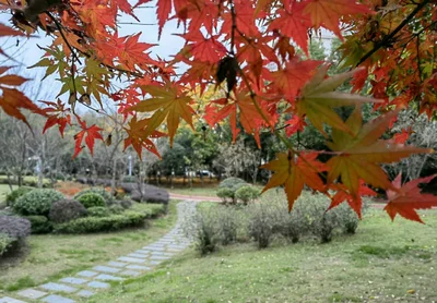 Tongling - Photo 2