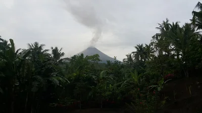 Malilipot - Photo 3