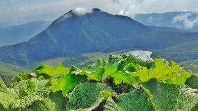 Bulusan - Photo 3