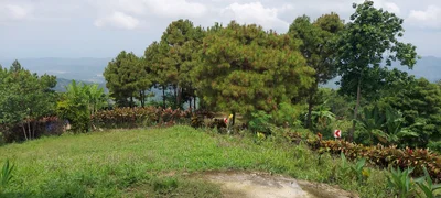 Bagulin - Photo 4