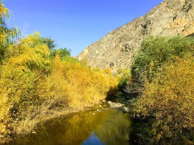Korla - Photo 5