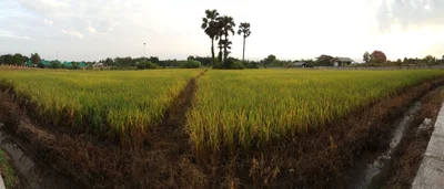 Chom Thong - Photo 2