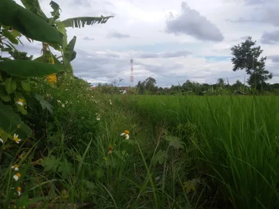 Chom Thong - Photo 4
