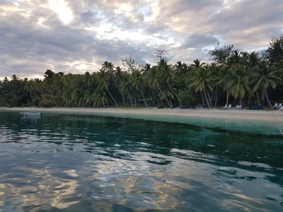 Nanuya Lailai Island - Photo 4