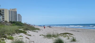 Brevard County - Photo 5