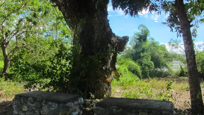 Sarrat - Photo 5