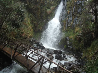 Papallacta - Photo 3