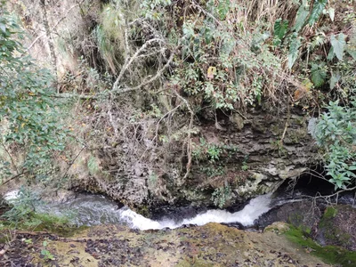 Papallacta - Photo 4