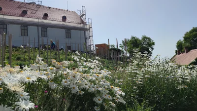 Tihany - Photo 3