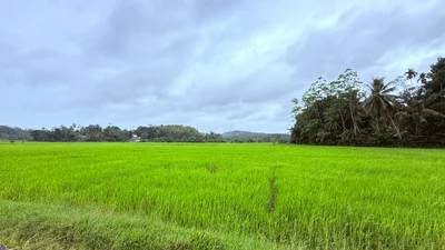 Katukurunda - Photo 2