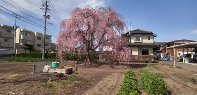 Koriyama - Photo 2