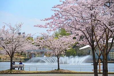 Koriyama - Photo 4