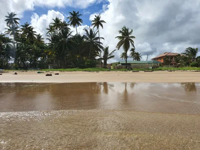 Trinidad - Photo 3