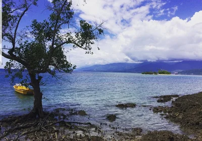 Manokwari - Photo 4